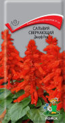 Семена Сальвия сверкающая Дварф ред (ЦВ) ("1) 1гр*100 /ЦВ152/