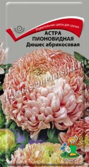 Семена Астра (однолетняя) пионовидная Дюшес роуз энд вайт (ЦВ) (&quot;1) 0,3гр Семена Астра (однолетняя) пионовидная Дюшес роуз энд вайт (ЦВ) ("1) 0,3гр