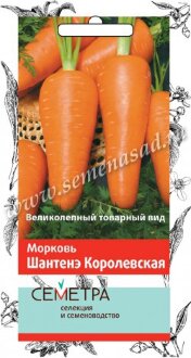 Семена Морковь Шантенэ Королевская (А) (А) (Семетра) 2гр Семена Морковь Шантенэ Королевская (А) (А) (Семетра) 2гр