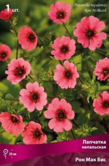 Семена Лапчатка непальская Рон Мак Бис/К Семена Лапчатка непальская Рон Мак Бис/К
